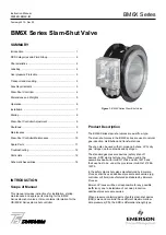 Emerson BM6X Series Instruction Manual предпросмотр