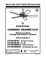 Emerson CARRERA GRANDE ECO CF788CK Owner'S Manual предпросмотр