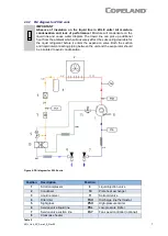 Preview for 10 page of Emerson Copeland ZXLE-018E Application Manuallines