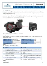 Preview for 2 page of Emerson CORESENSE Technical Information