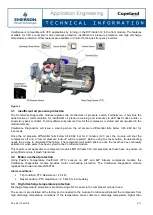 Preview for 3 page of Emerson CORESENSE Technical Information