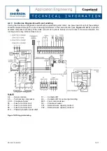 Preview for 12 page of Emerson CORESENSE Technical Information