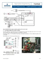 Preview for 13 page of Emerson CORESENSE Technical Information