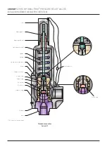 Предварительный просмотр 2 страницы Emerson CROSBY BP SERIES Installation, Maintenance And Adjustment Instructions