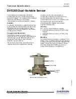 Предварительный просмотр 1 страницы Emerson DVS205 Technical Specifications