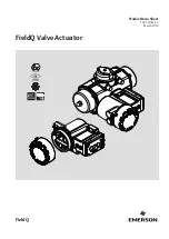 Emerson FieldQ Q100 Product Data Sheet preview