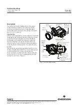 Preview for 28 page of Emerson FieldQ Q100 Product Data Sheet