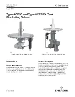 Emerson Fisher ACE95 Series Instruction Manual предпросмотр