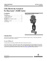 Emerson Fisher CML-750 Instruction Manual preview