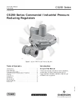 Emerson FISHER CS200 Series Instruction Manual preview