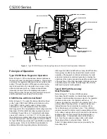 Preview for 4 page of Emerson FISHER CS200 Series Instruction Manual