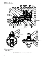 Preview for 10 page of Emerson FISHER CS200 Series Instruction Manual