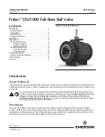 Preview for 1 page of Emerson Fisher DSV1000 Instruction Manual