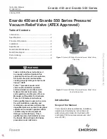 Emerson FISHER Enardo 450 Series Instruction Manual предпросмотр