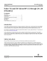 Emerson Fisher EU Instruction Manual предпросмотр