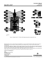 Предварительный просмотр 20 страницы Emerson FISHER NotchFlo DST Instruction Manual