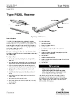 Emerson Fisher P520L Instruction Manual preview