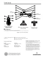 Preview for 12 page of Emerson FISHER T208 Series Instruction Manual