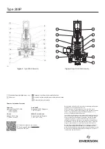 Preview for 4 page of Emerson Fisher Type 289P Installation Manual