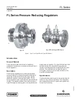 Emerson FL Instruction Manual preview