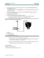 Предварительный просмотр 141 страницы Emerson Micro Motion SGM Configuration And Use Manual