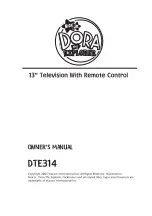 Emerson Nick Jr. Dora the Explorer DTE 314 Owner'S Manual preview