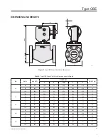 Предварительный просмотр 3 страницы Emerson OSE Series Instruction Manual