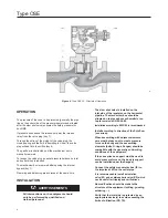 Предварительный просмотр 4 страницы Emerson OSE Series Instruction Manual