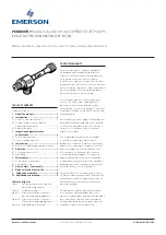 Preview for 1 page of Emerson PENBERTHY GL Installation, Operation And Maintenance Instructions