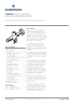 Предварительный просмотр 1 страницы Emerson PENBERTHY N6 Series Installation, Operation And Maintenance Instructions