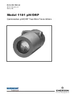 Предварительный просмотр 1 страницы Emerson Rosemount 1181ORP TRANSMITTER Instruction Manual