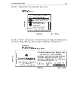 Preview for 109 page of Emerson Rosemount 375 User Manual