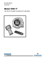 Emerson Rosemount 5081-T Instruction Manual предпросмотр