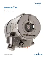 Preview for 1 page of Emerson Rosemount 975 Series Reference Manual