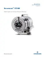 Emerson Rosemount 975MR Reference Manual предпросмотр