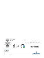 Preview for 32 page of Emerson Rosemount Analytical RDO Manual