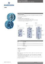 Emerson SAPAG CLASAR Series Technical Description, Installation, Operating And Maintenance Instructions предпросмотр