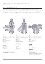 Предварительный просмотр 12 страницы Emerson Sempell PSRV VS99 Manual