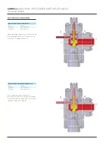 Предварительный просмотр 13 страницы Emerson Sempell PSRV VS99 Manual