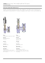 Предварительный просмотр 16 страницы Emerson Sempell PSRV VS99 Manual