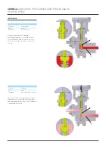 Предварительный просмотр 33 страницы Emerson Sempell PSRV VS99 Manual