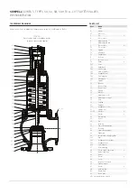 Предварительный просмотр 13 страницы Emerson Sempell S Series Operating Instructions Manual