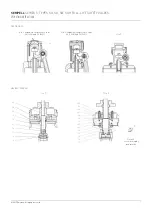 Предварительный просмотр 17 страницы Emerson Sempell S Series Operating Instructions Manual