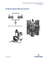 Предварительный просмотр 1 страницы Emerson Shafer Installation, Operation And Maintenance Manual