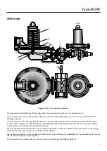 Preview for 5 page of Emerson Tartarini B/240 Series Instruction Manual