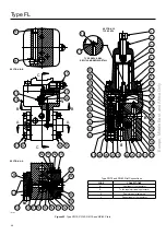 Preview for 46 page of Emerson TARTARINI BFL Instruction Manual