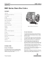 Emerson Tartarini BM5 Series Instruction Manual preview