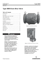 Emerson TARTARINI BM9 Instruction Manual предпросмотр