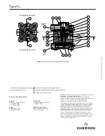 Preview for 36 page of Emerson TARTARINI FL Series Instruction Manual