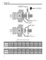 Preview for 12 page of Emerson Tartarini FL Instruction Manual